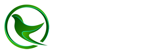 竞彩网